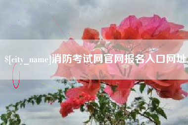 射阳消防考试网官网报名入口网址