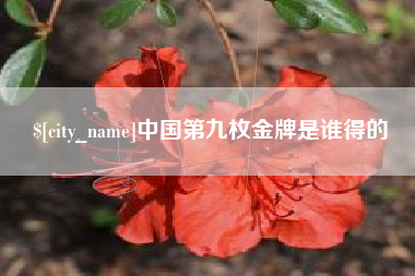 射阳中国第九枚金牌是谁得的