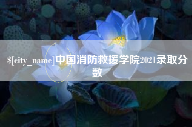 射阳中国消防救援学院2021录取分数