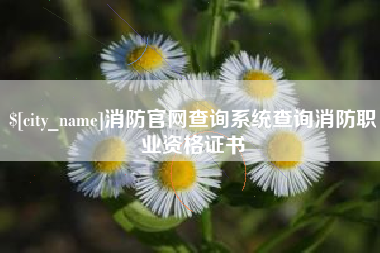 射阳消防官网查询系统查询消防职业资格证书