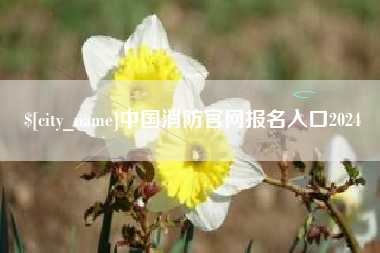 射阳中国消防官网报名入口2024