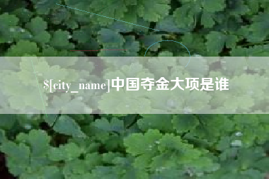 射阳中国夺金大项是谁