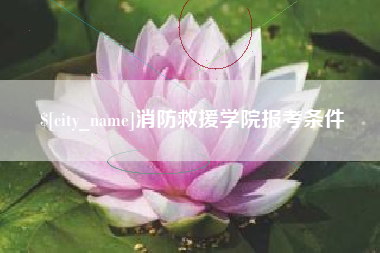射阳消防救援学院报考条件