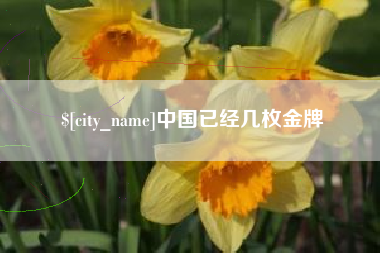 射阳中国已经几枚金牌