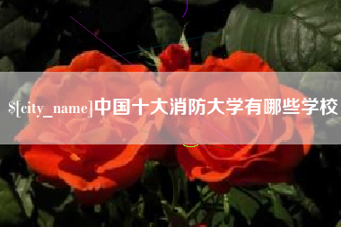 射阳中国十大消防大学有哪些学校