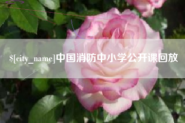 射阳中国消防中小学公开课回放