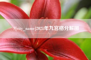 射阳2021年九宫格分解图