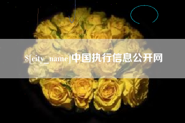 射阳中国执行信息公开网
