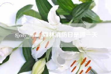 射阳森林消防日是哪一天