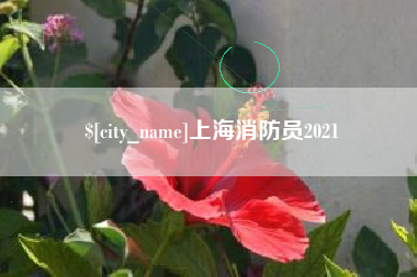 射阳上海消防员2021
