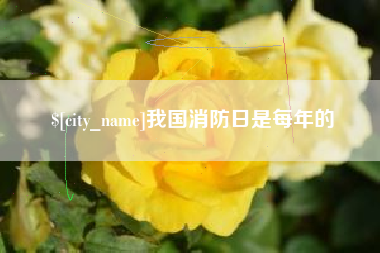 射阳我国消防日是每年的