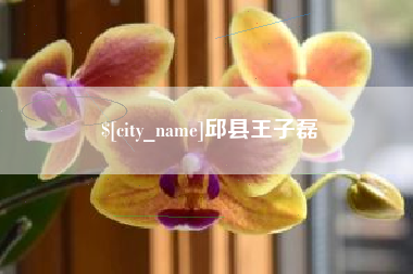 射阳邱县王子磊