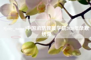 射阳中国消防救援学院2020年录取结果