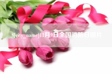 射阳11月9日全国消防日图片