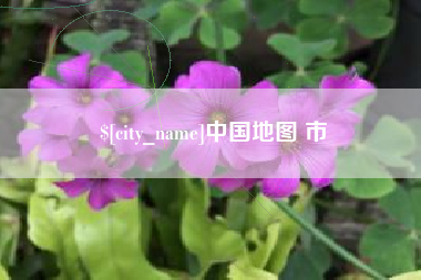 射阳中国地图 市