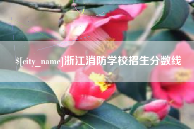 射阳浙江消防学校招生分数线
