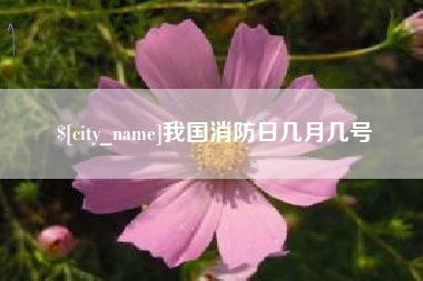 射阳我国消防日几月几号