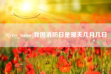 射阳我国消防日是哪天几月几日