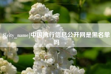 射阳中国执行信息公开网是黑名单吗