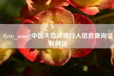 射阳中国失信被执行人信息查询公开网址