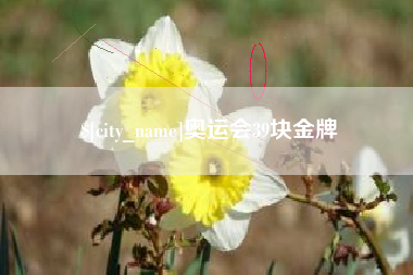 射阳奥运会39块金牌
