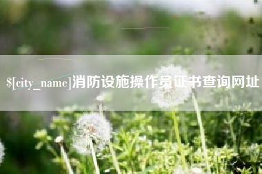 射阳消防设施操作员证书查询网址