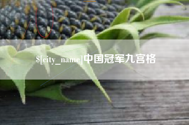 射阳中国冠军九宫格