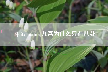 射阳九宫为什么只有八卦