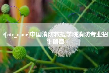 射阳中国消防救援学院消防专业招生简章