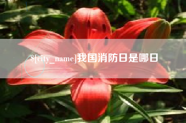 射阳我国消防日是哪日