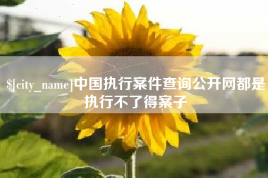 射阳中国执行案件查询公开网都是执行不了得案子