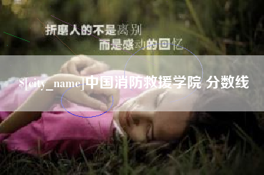射阳中国消防救援学院 分数线