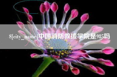 射阳中国消防救援学院是985吗
