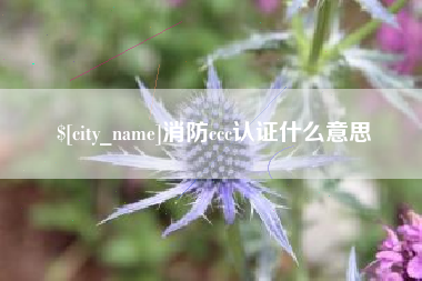 射阳消防ccc认证什么意思