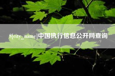 射阳中国执行信息公开网查询