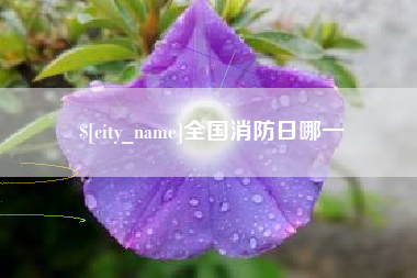 射阳全国消防日哪一