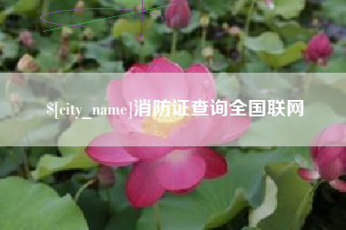射阳消防证查询全国联网