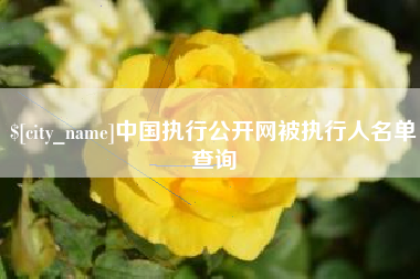 射阳中国执行公开网被执行人名单查询