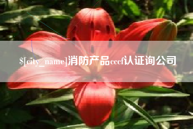 射阳消防产品cccf认证询公司