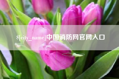 射阳中国消防网官网入口