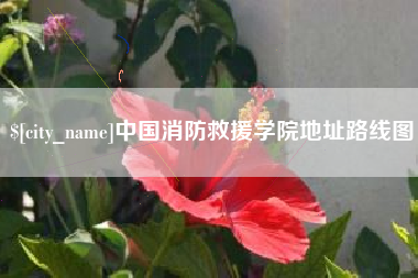 射阳中国消防救援学院地址路线图