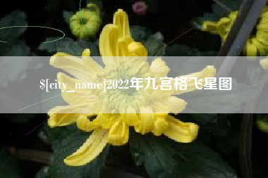 射阳2022年九宫格飞星图