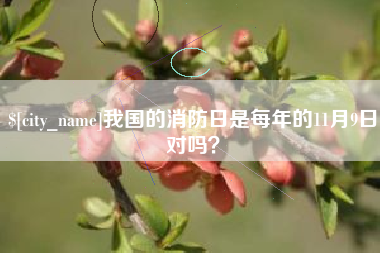 射阳我国的消防日是每年的11月9日对吗？