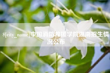 射阳中国消防救援学院湖南招生情况公布