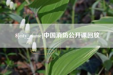 射阳中国消防公开课回放