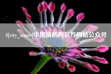 射阳中国消防网官方网站公众号
