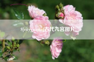 射阳古代九宫图片