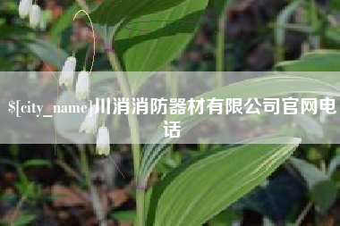 射阳川消消防器材有限公司官网电话