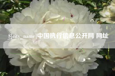 射阳中国执行信息公开网 网址