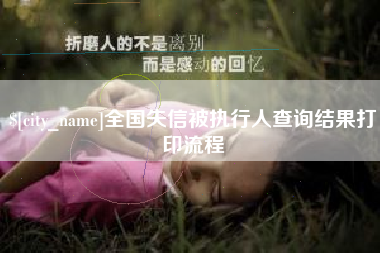 射阳全国失信被执行人查询结果打印流程
